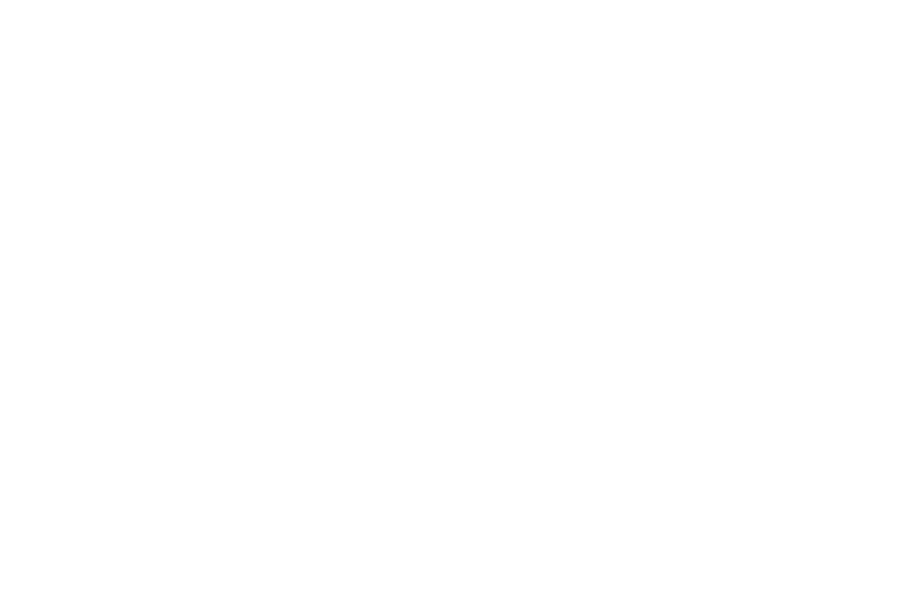 Silavo